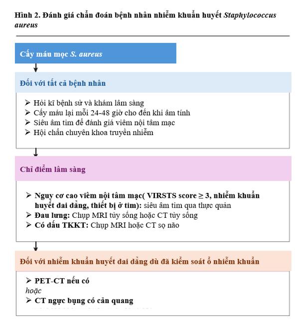 Hướng dẫn chẩn đoán